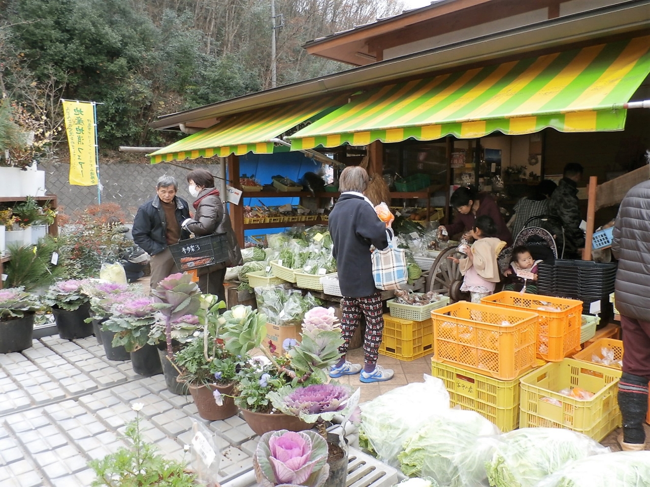 地産地消3