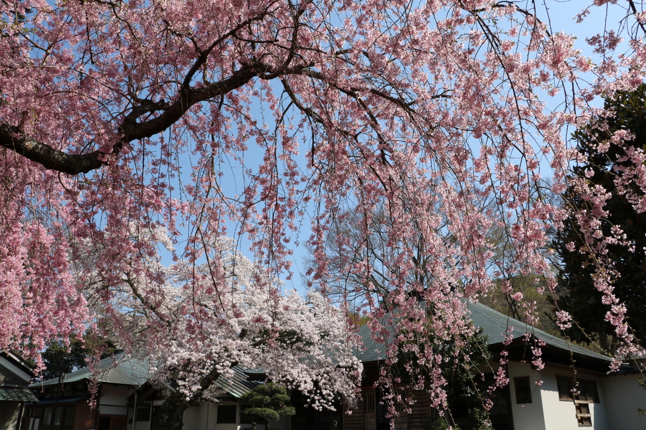 実成寺２