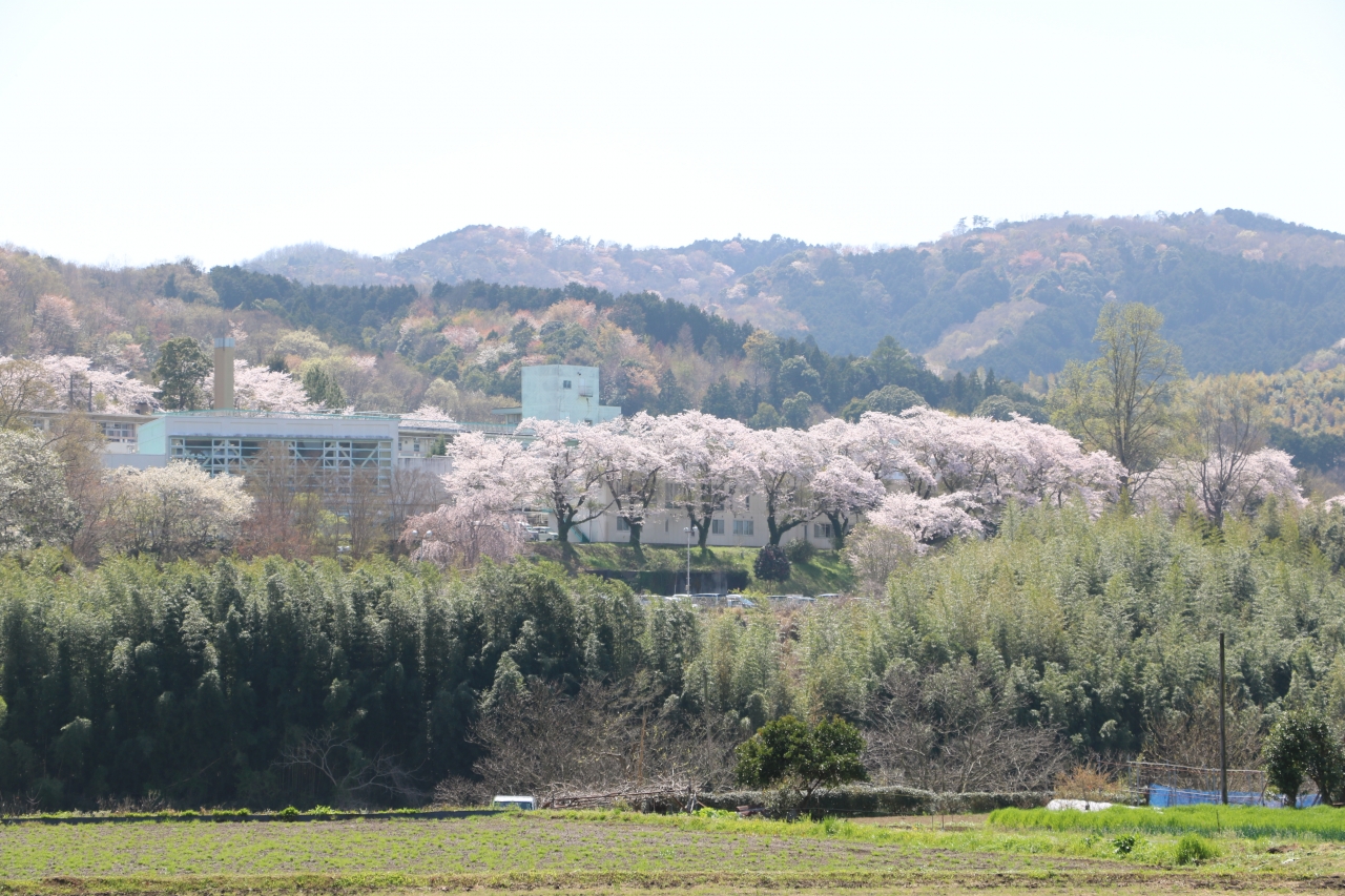 中伊豆温泉病院３